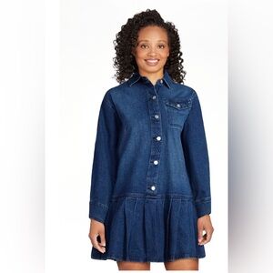 Scoop NYC Blue Denim Mini Dress